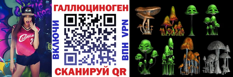 omg маркетплейс  Ясный  Псилоцибиновые грибы мухоморы 